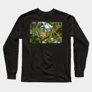 Little Robin Long Sleeve T-Shirt